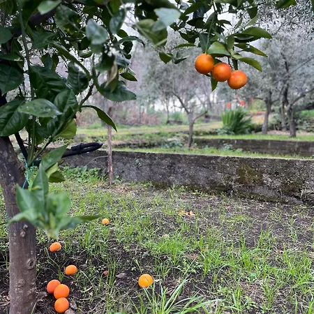Milone Etna منزل ريفي زافيرانا إتنيا