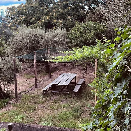 Milone Etna * زافيرانا إتنيا