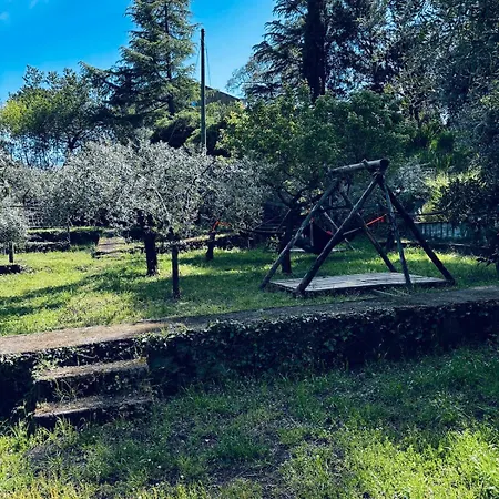 Milone Etna منزل ريفي زافيرانا إتنيا